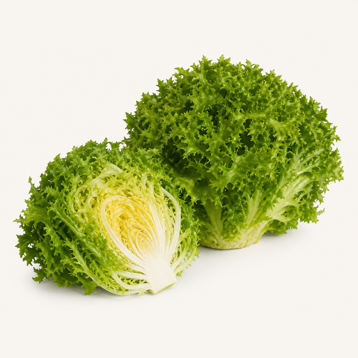 Lechuga escarola