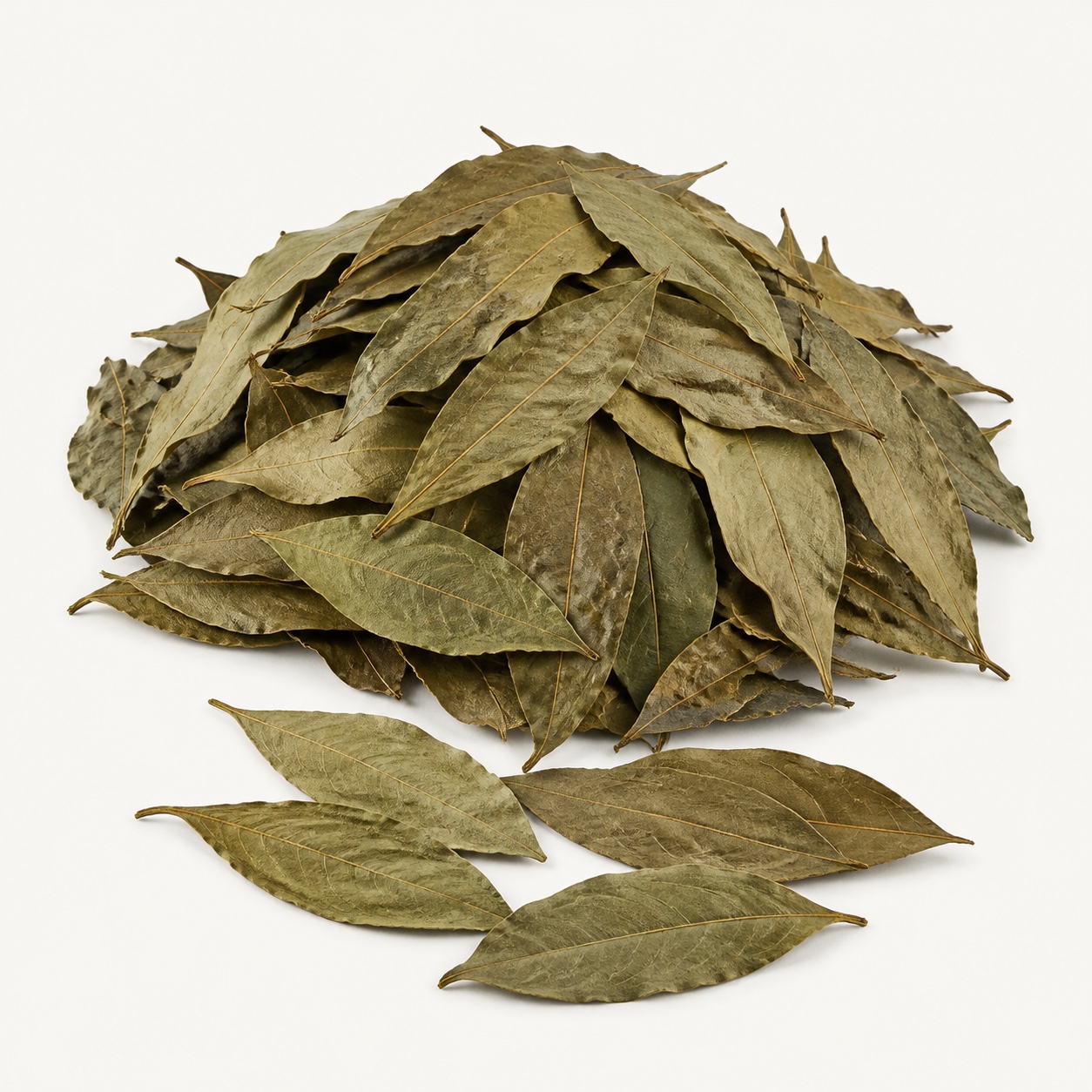 Hoja de aguacate