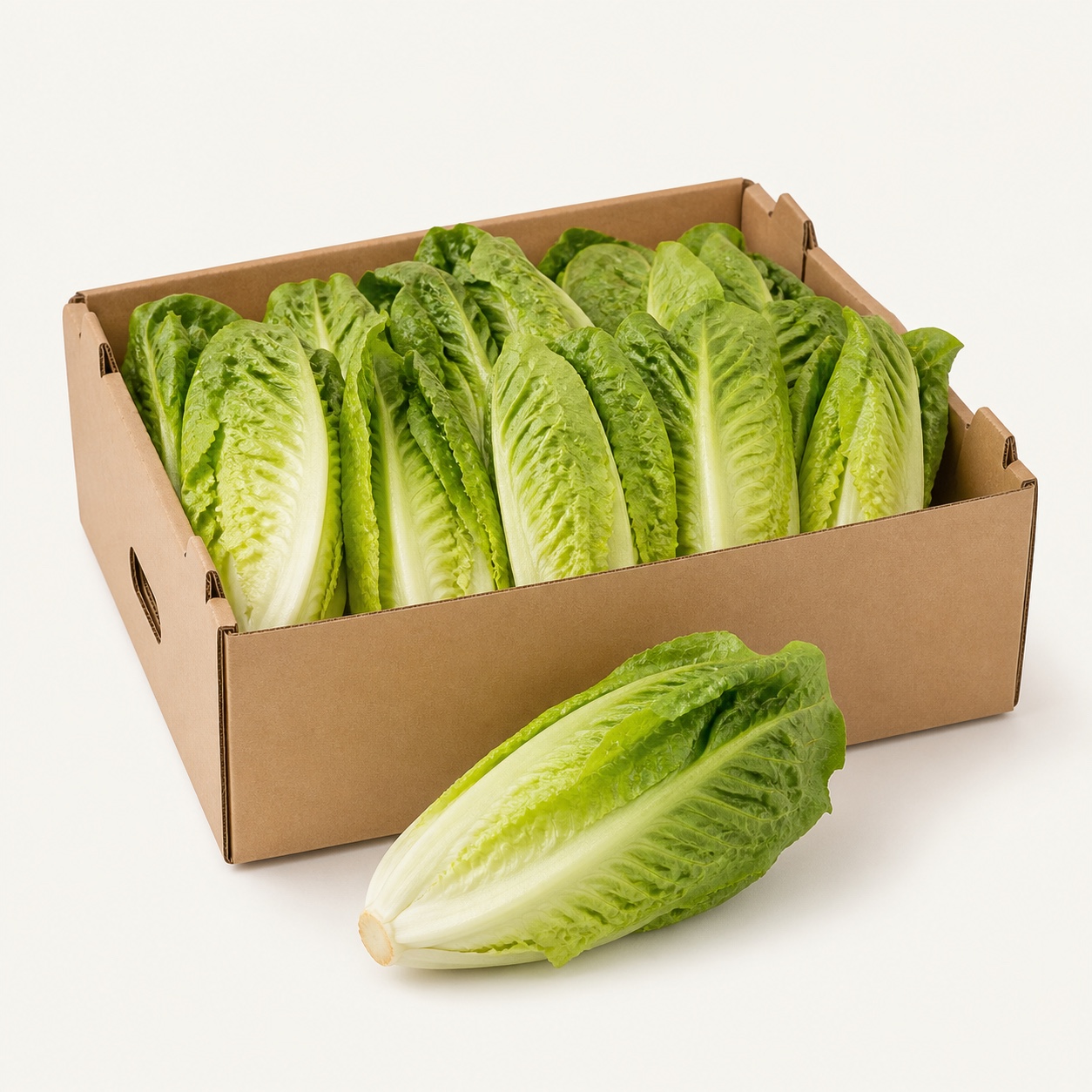 Lechuga corazón · caja