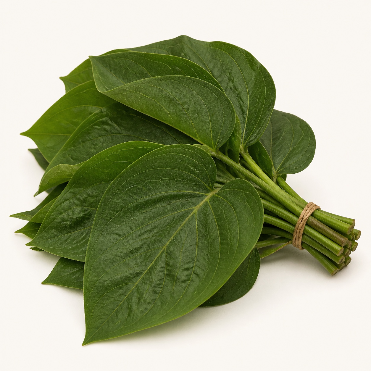 Hoja santa · manojo