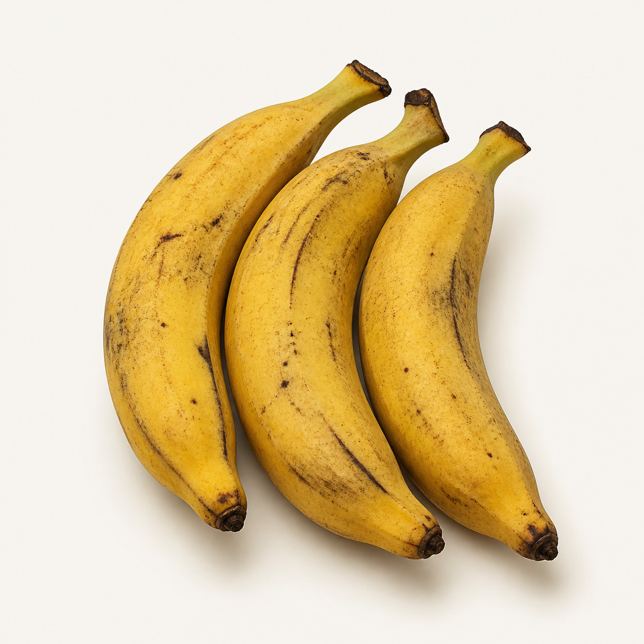 Plátano macho primera