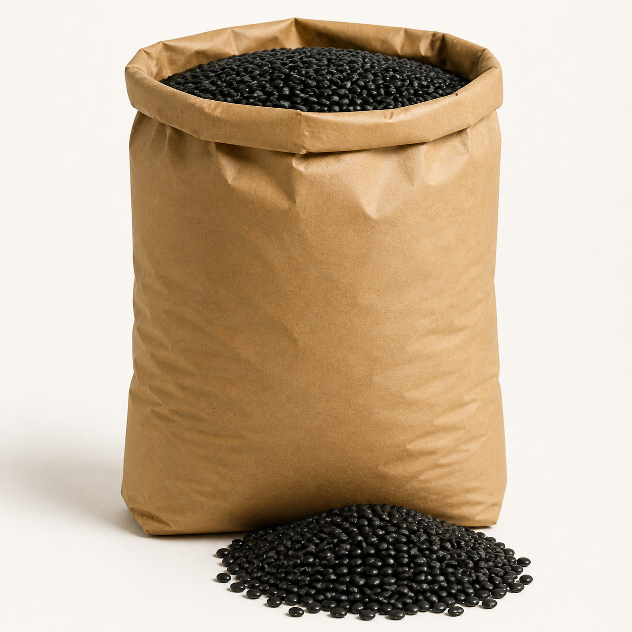 Frijol negro costal 25 kg