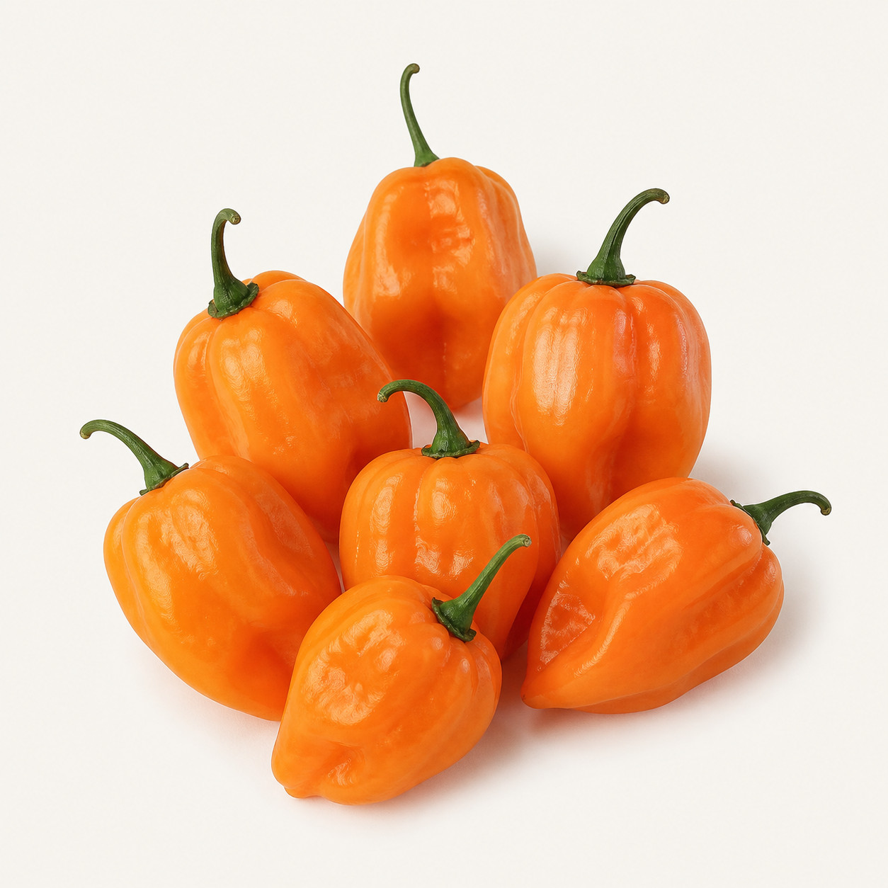 Chile habanero naranja primera