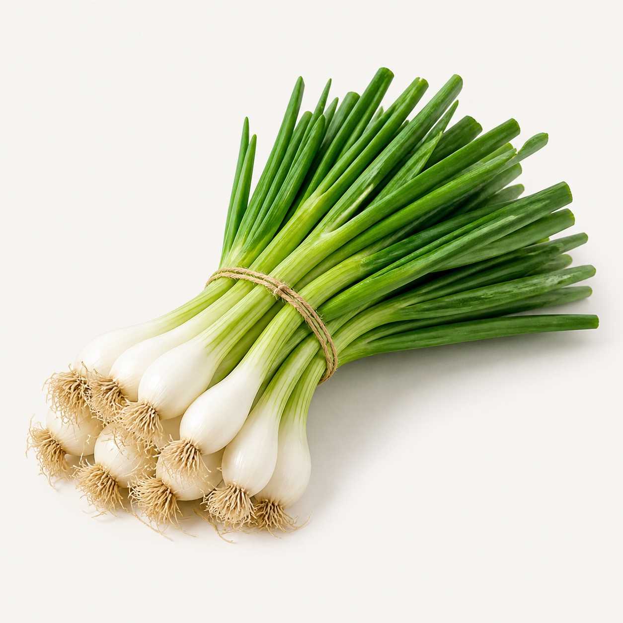 Cebolla cambray