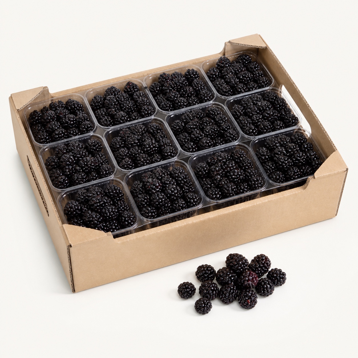 Zarzamora · caja