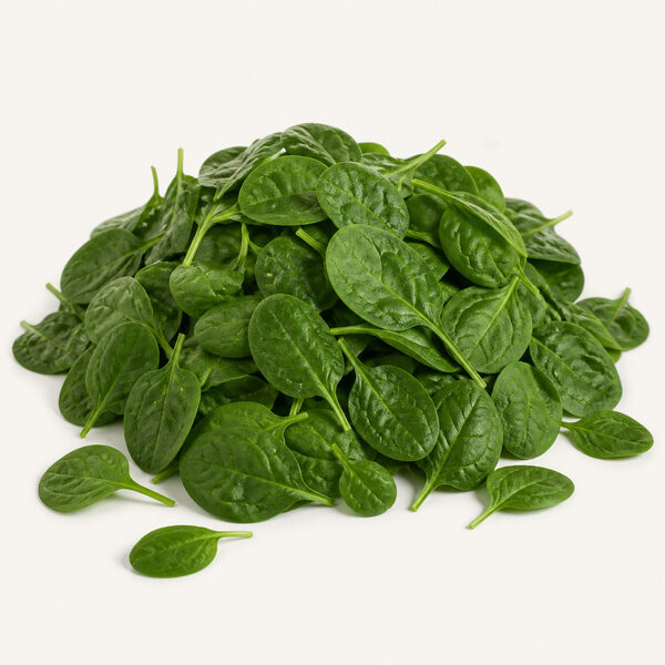 Espinaca baby